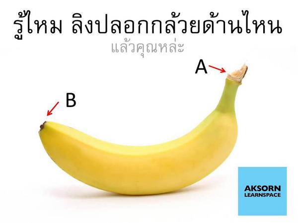 AksornSpace's tweet photo. รู้หรือไม่ว่า ลิงปลอกกล้วยด้านไหน มาหาคำตอบได้ใน https://t.co/71Oo85r5zR … #aksornlearnspace #banana #monkey http://t.co/0N8s4zrVkZ
