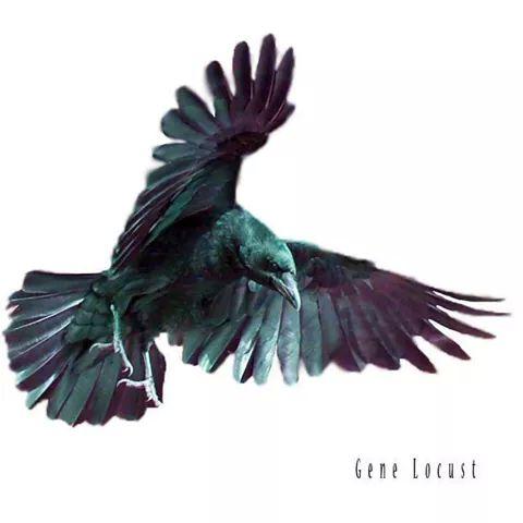 GeneLocust's tweet image. 