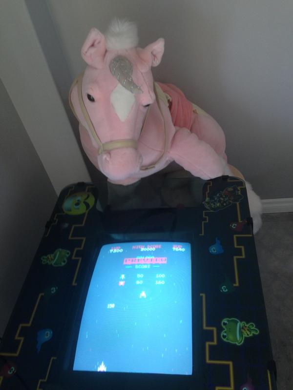 ElixirCoaches's tweet image. Unicorn got some last minute relaxation in before heading to #xerocon. Yes the unicorn is related to #valuebasedfees!