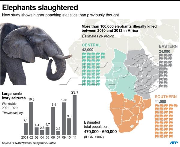 AAmbregni's tweet image. Plus de 100.000 éléphants abattus en Afrique entre 2010 et 2012. Infographie en anglais  #AFP via @AFPgraphics