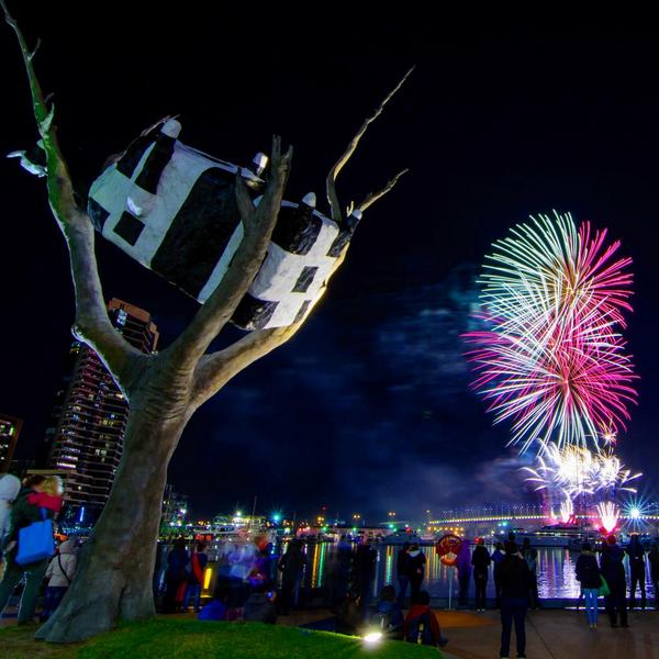 cityofmelbourne's tweet photo. Fireworks &amp; cow up a tree. #Melbourne most liveable city in the world for 4 consecutive years. http://t.co/JBFTp0JLtg http://t.co/VlfDv8dUVQ