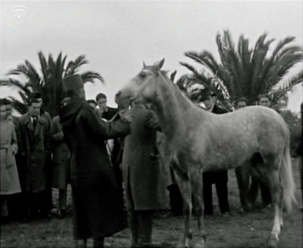 Archivo histórico audiovisual <a href="/_CEIA3/">CEIA3</a> recuperando la memoria agroalimentaria del sur de Europa ceia3.es/archivohistori…