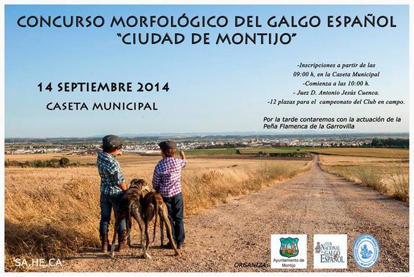 montijaneando's tweet photo. Concurso Morfológico del Galgo Español "Ciudad de Montijo"

http://t.co/oBbDt1eYmp http://t.co/fO4vwF0VSF