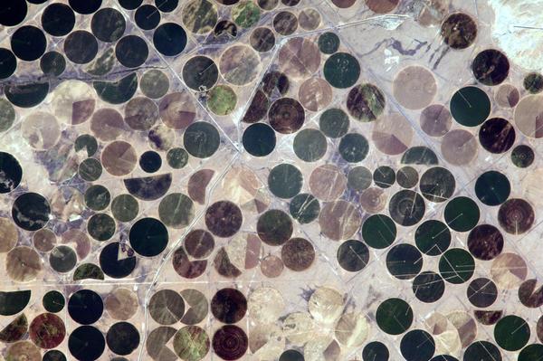 Astro_Alex's tweet photo. I believe this is where Pacman was invented. Irrigation in the Mid-Western USA. #BlueDot http://t.co/hupaUIyeyw
