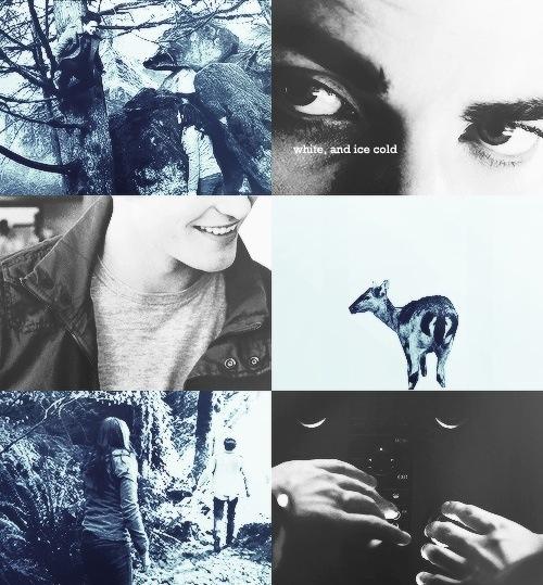 TwihardKingdom tweet picture