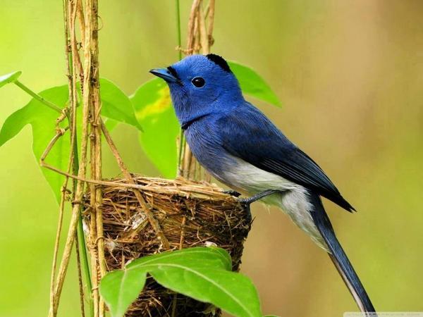 People may not always tell you how they feel about you, but they will always show you. Pay attention.