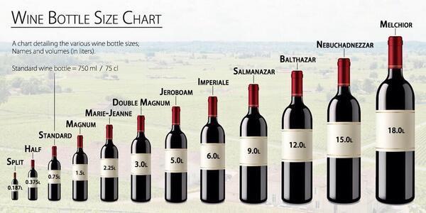 Wine Glass Size Chart