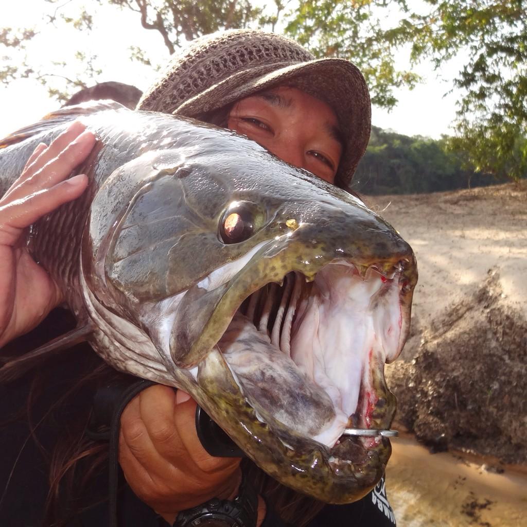 ツクナレアスー ピーコックバス 置物 ボンバダ