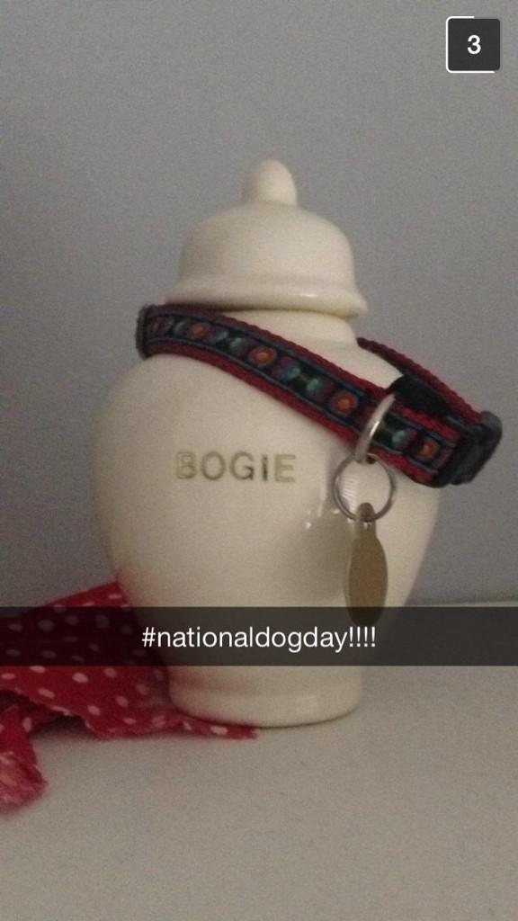 Nati_Ortegaa's tweet photo. Brittney keeps her dog's ashes in her room #NationalDogDay #wtf #ripbogie http://t.co/IKj1LX6iLI