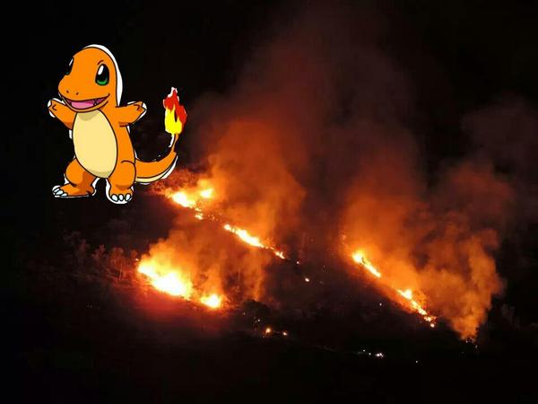 castilloesjoven's tweet photo. He aquí un supuesto sospechoso... http://t.co/XkTK5Nk6b3