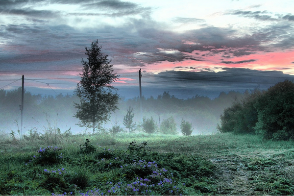 vigilmoon's tweet image. #MorningDawn. Mist. Freshness. Coolness. Beauty.