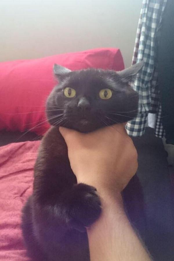 SpruceyBaby's tweet image. This is how I feel being at the gym right now 7 miles on bike and circuits #killmeh