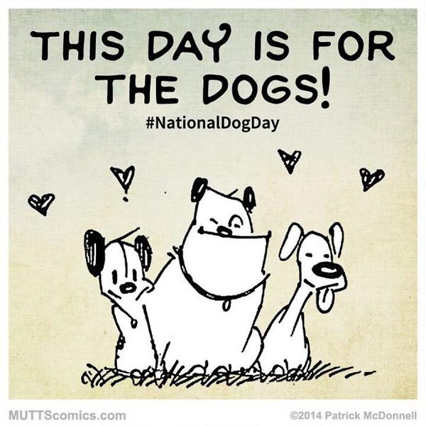 #dogs #alfi #lovemydog