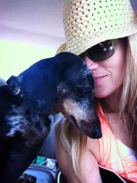 Natgodess's tweet image. #NationalDoggyDay 
#wienerdogs #odogg #obiwankenobe
Weeeeeeeeeee!
