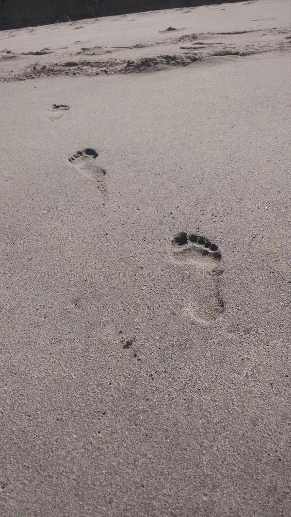 Toes in the sand. Feeling grand. Lick them clean... In your dreams.