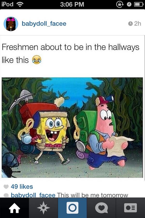 Field High School tweet media