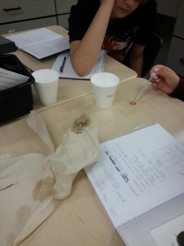 westra_science's tweet photo. Practicing scientific method and learning about properties of water! #pennpride365 http://t.co/rMDW9DneNJ