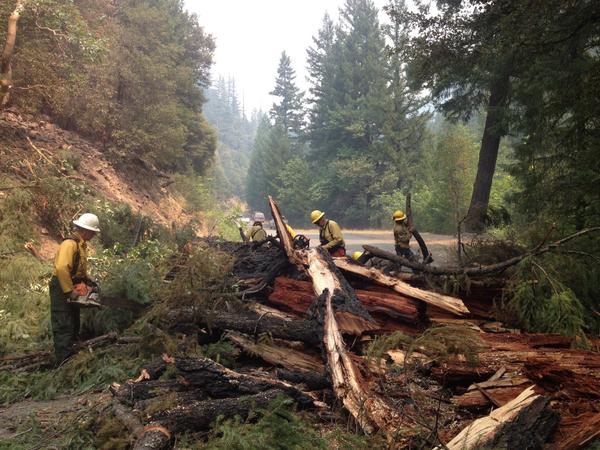 JulyComplexinfo's tweet image. Crews cleaning large amounts of debris along Sawyers Bar Road today. #JulyComplex #JulyComplexinfo