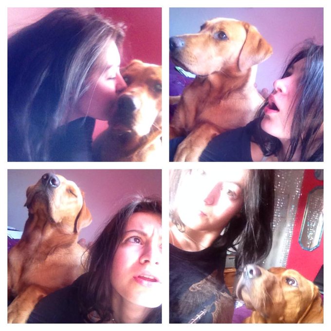 #HappyNationalDogDay #woofwoof 🐶💗 http://t.co/UR11R6mzc6<a href="/tag/happynationaldogday"class="tags">#HappyNationalDogDay</a><a href="/tag/woofwoof"class="tags">#woofwoof</a>