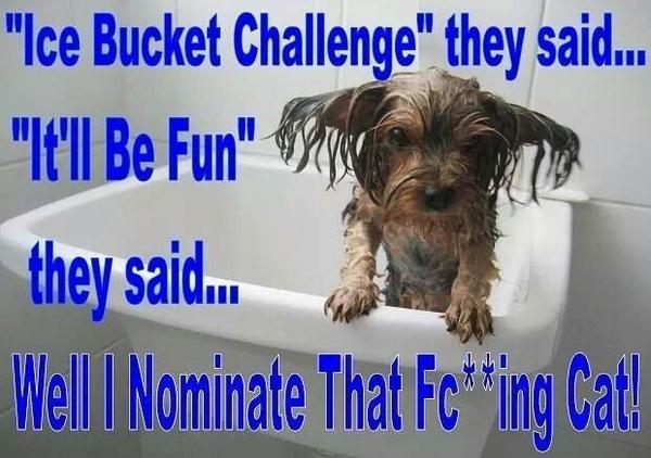 Linda maginness  (@lindamaginness) on Twitter photo 