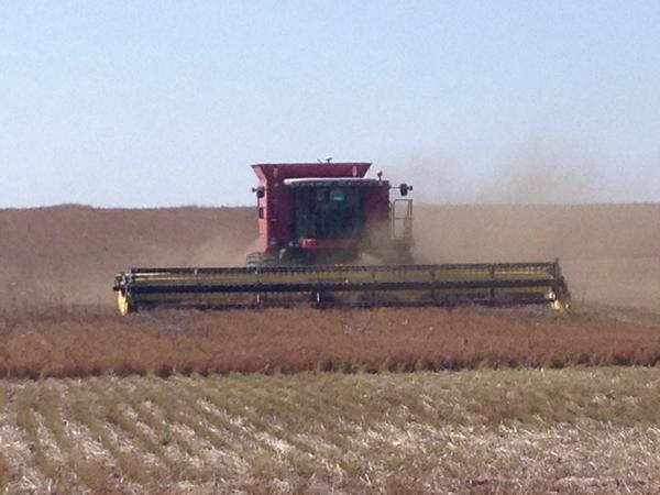 Here we go #harvest14