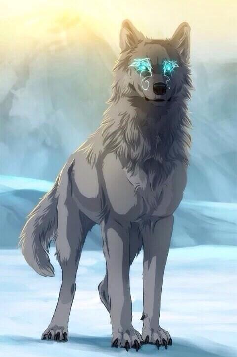 bluewolfsrain's tweet photo. Such an amazing wolf! ^^ love her. http://t.co/ceTaqF0fxs