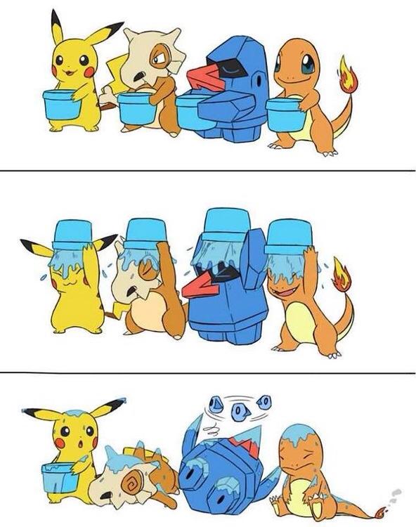FunnyPokemon tweet picture