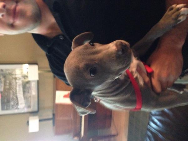 The newest addition to our house! Everyone meet Ruby Lou