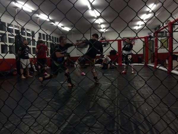 Johnny Koen Jnr tweet media