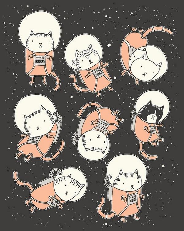 SpaceKitty_g's tweet photo. It's so much fun to be in outer space! http://t.co/QKOKQnvwhm