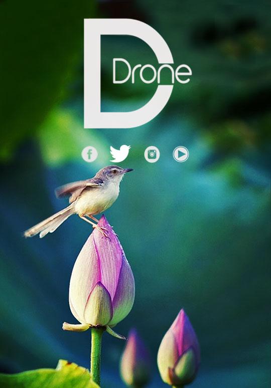 DDron3 tweet picture