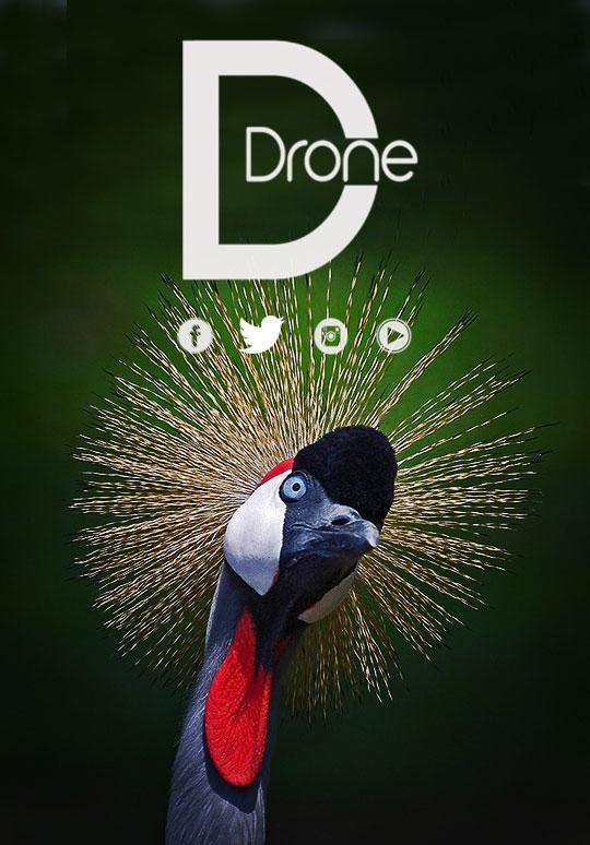 DDron3 tweet picture