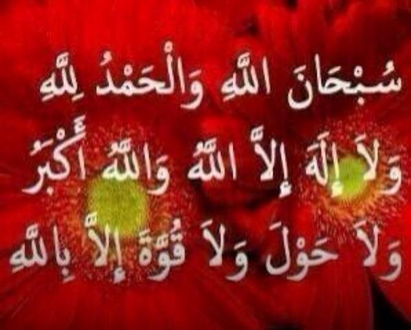 abutalal88838 tweet picture