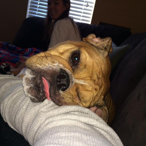 Mad____Dog tweet picture