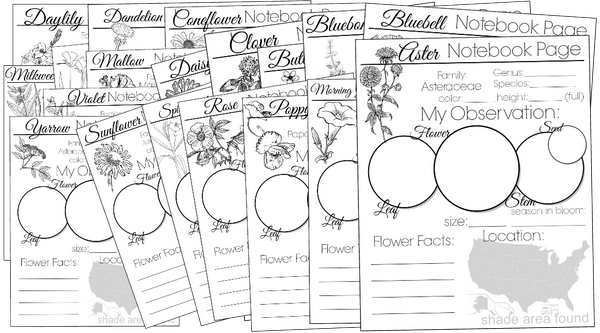 HarrHarmonies's tweet image. #Wildflower Notebook Pages- Record your findings while doing a study! $2.99. #notebookpages buff.ly/1rSPoPn