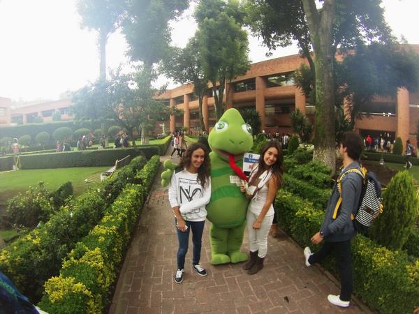 Sustentabilidad Ibero CDMX tweet media