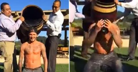 Danni_Wyatt's tweet photo. “@MirrorCeleb: Of course David Beckham does his ALS Ice Bucket Challenge topless!

http://t.co/IFGcUvZgXw http://t.co/g7cJXymH9y” 😮👌#hero