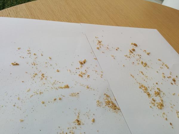 GoogleUK's tweet photo. Whoops! Sorry @GreggstheBakers. #fixgreggs, #fixedgreggs #ategreggs http://t.co/64Q53qck1B