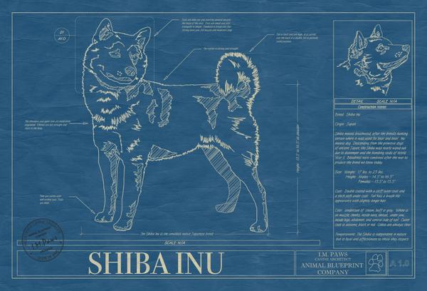 dreamsofdoge's tweet image. Ahh the blueprints for what makes me great! #shibasrule