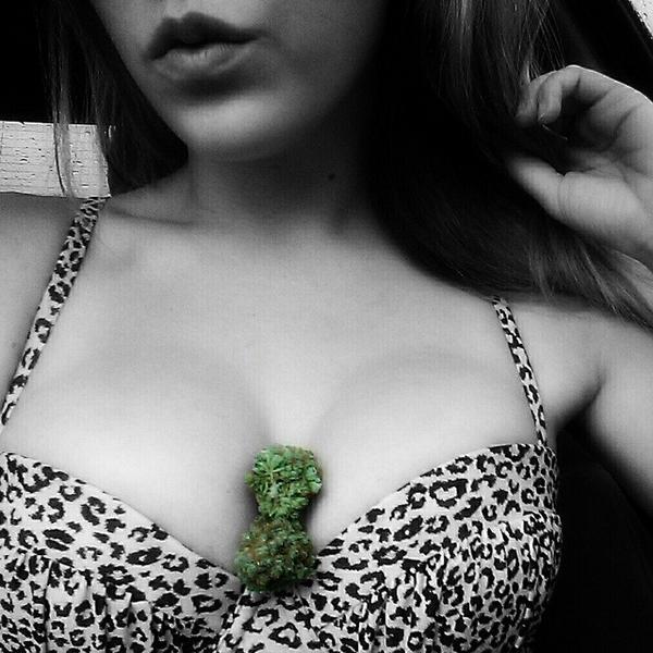 GanjaGirls's tweet photo. ~ @lifteddladies  http://t.co/HKgGd0Dlpk You think you're original. You ain't original. You were programmed to be... http://t.co/ajk4ukcoKj