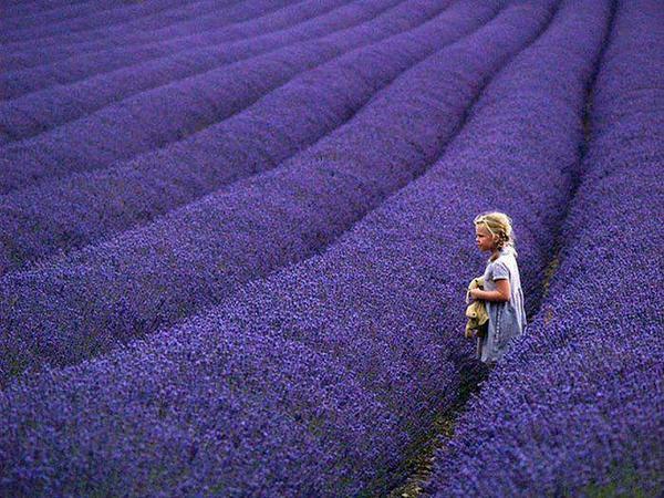 𝔦∂ΙЄGO (@drc_19) on Twitter photo 