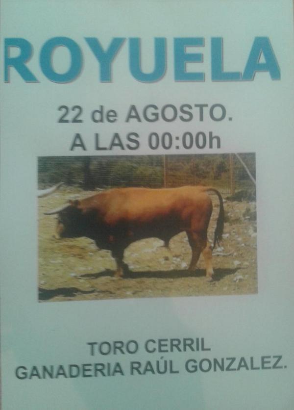 comisionroyuela's tweet photo. Ya estan aqui...3 dias.@FIESTASPTERUEL @EcodeTeruel @sierraenfureci1 @Sierralbarracin @LaVaquilla @FiestaTeruel http://t.co/8glOtBLIuh