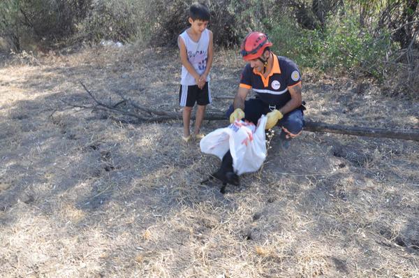 15 metrelik körelmiş su kuyusuna düşen kediyi Tunceli Afad Ekibi Kuyudan çıkardı.