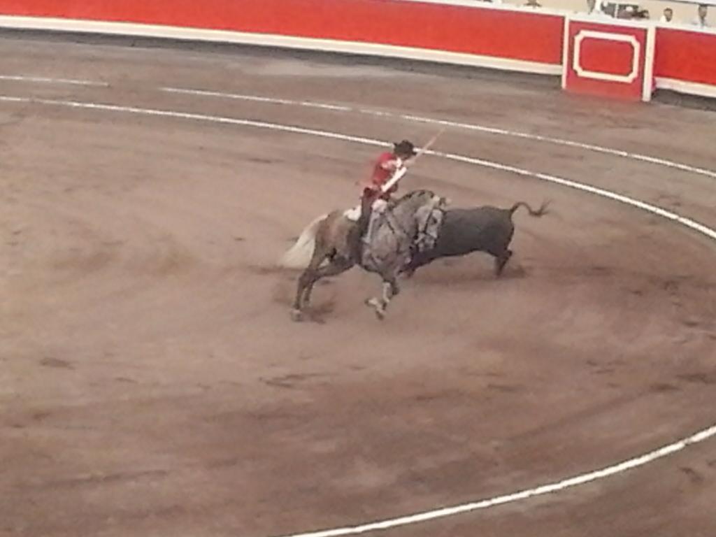 noelia_nava's tweet photo. Tarde perfecta con @patriciaruiz64 @Emma_Lariloli  @iineslopez http://t.co/WLdllFlYLn