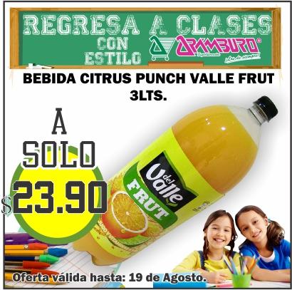 Porque en <a href="/MercadoAramburo/">Arámburo</a> sabemos lo importante que es Para Usted su Familia Tenemos lo ideal para que comparta