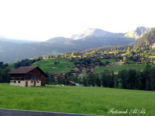 um_azouz tweet picture