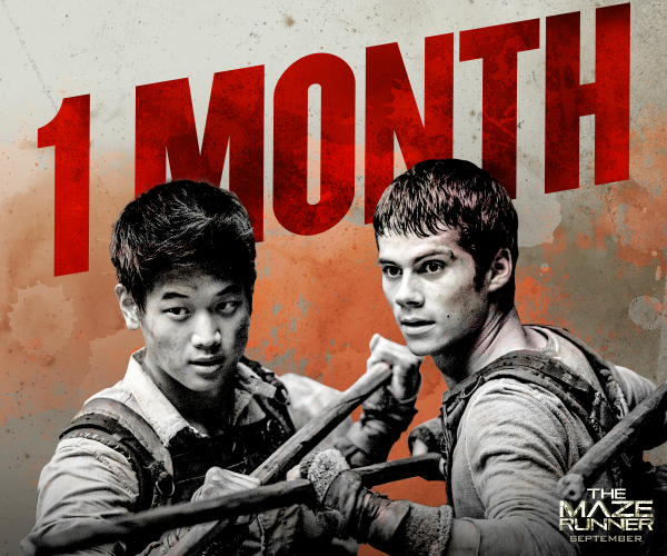 MazeRunnerMovie's tweet photo. One month until the doors open. Prepare for battle. #MazeRunner http://t.co/WrwgtnYWr1