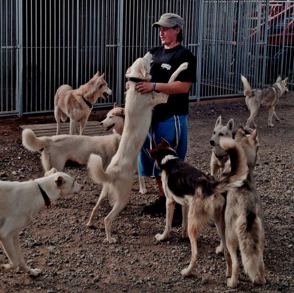 ArcticQuestTeam's tweet photo. Investment or not......still got the best job in the world!!!! http://t.co/bmttD4SoLn