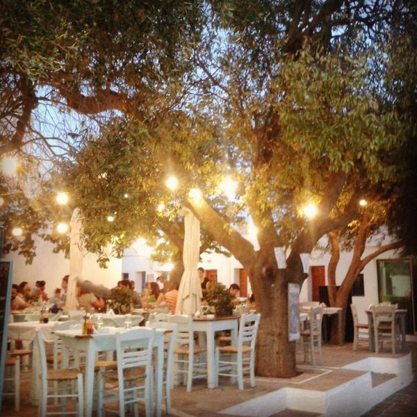 Federica Barbera tweet media