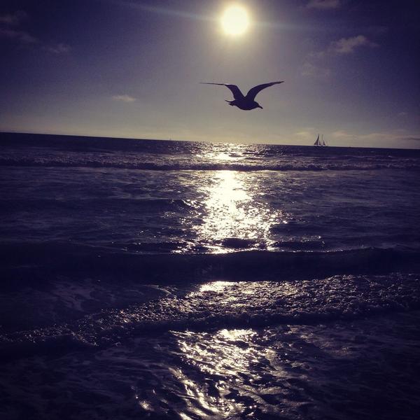 BrittneyNC3's tweet photo. #California #ventura http://t.co/U4Ggey8PF8